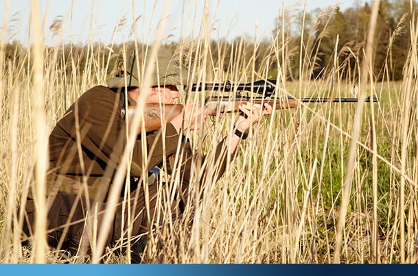 Wildlife surveillance