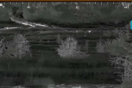 gaia cyclope benefices ai