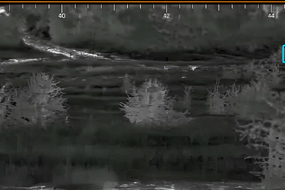 gaia cyclope benefices ai