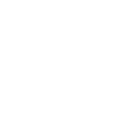 IndigoVision_MS_logo