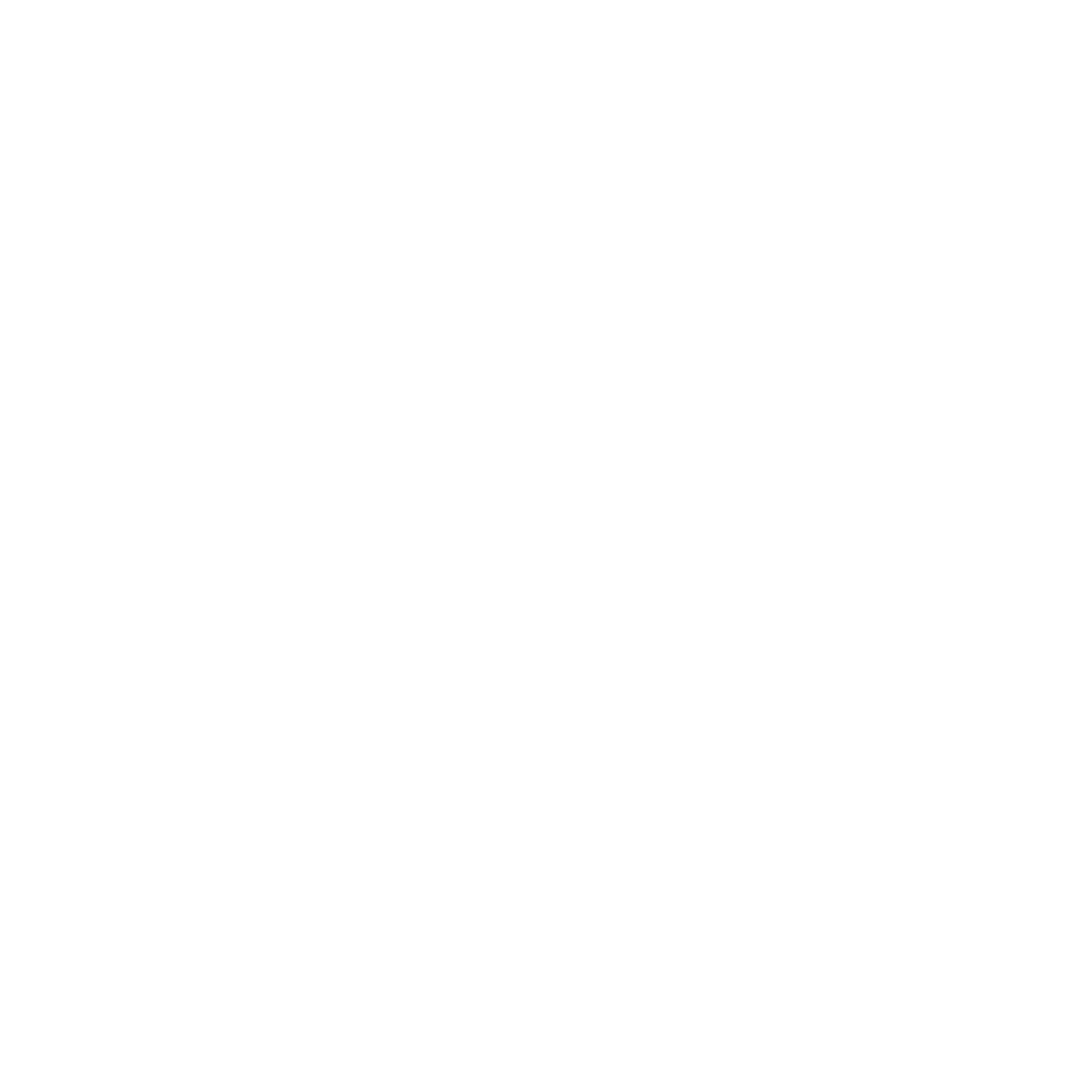 IndigoVision_MS_logo