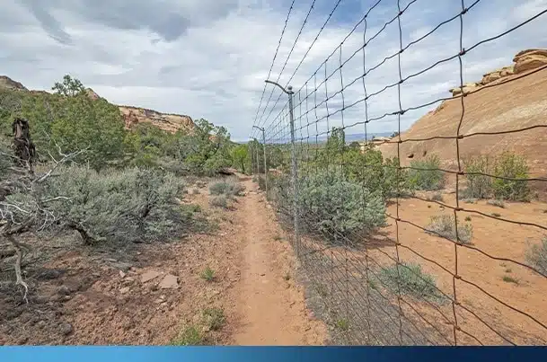 2_border_surveillance